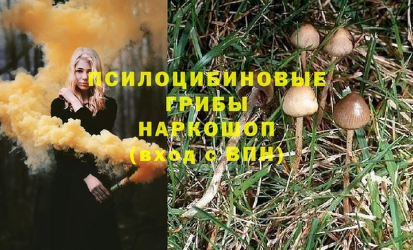 гидра Алексеевка