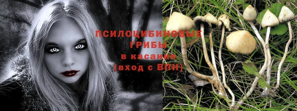 ПСИЛОЦИБИНОВЫЕ ГРИБЫ Балахна