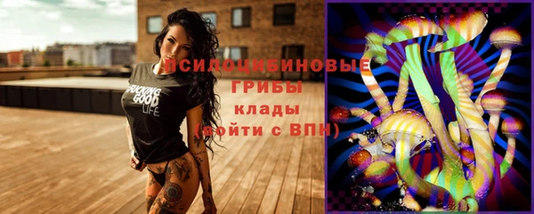 mix Арсеньев