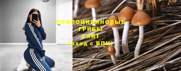 Альфа ПВП Аркадак